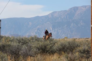 Christian program helping Struggling young men and teens in Wyoming