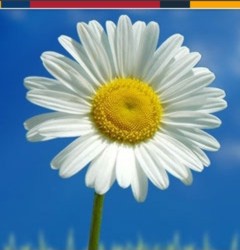 adhd clinic Minneapolis, Minnnesota